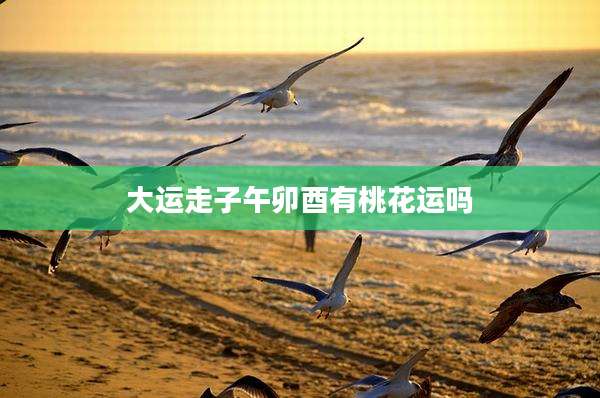 大运走子午卯酉有桃花运吗