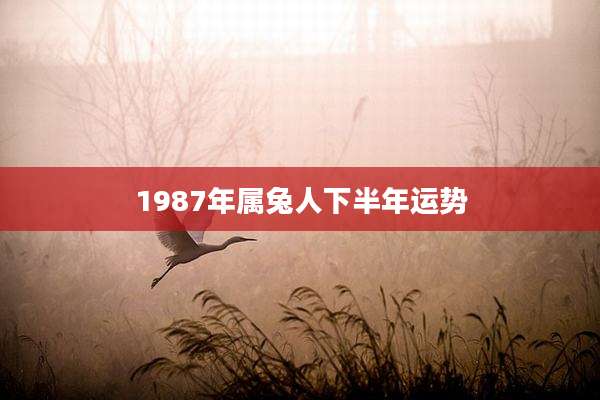 1987年属兔人下半年运势