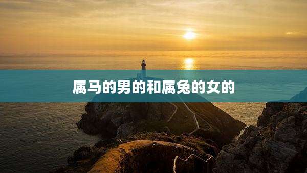 属马的男的和属兔的女的