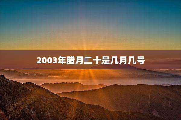 2003年腊月二十是几月几号