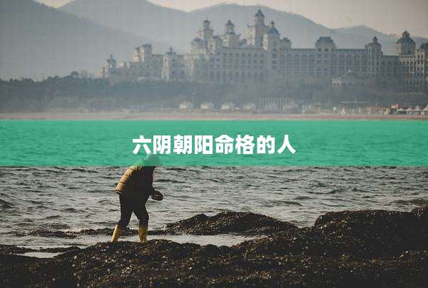 六阴朝阳命格的人