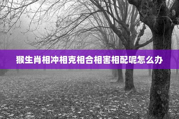 猴生肖相冲相克相合相害相配呢怎么办