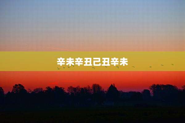 辛未辛丑己丑辛未