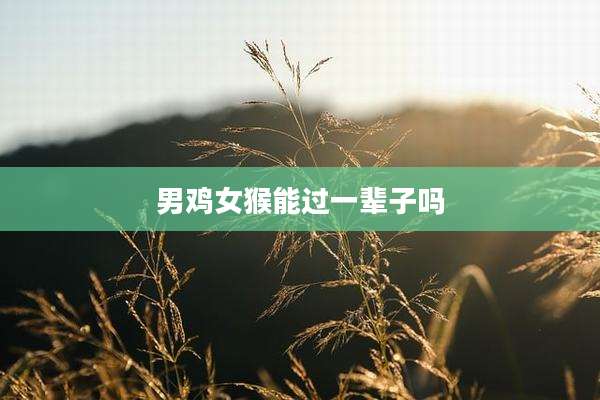 男鸡女猴能过一辈子吗