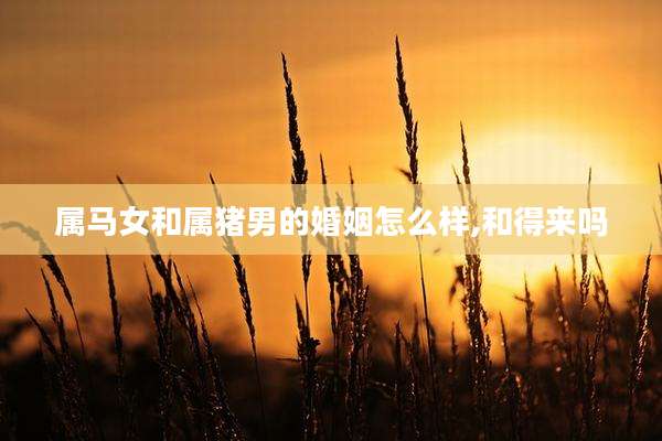 属马女和属猪男的婚姻怎么样,和得来吗