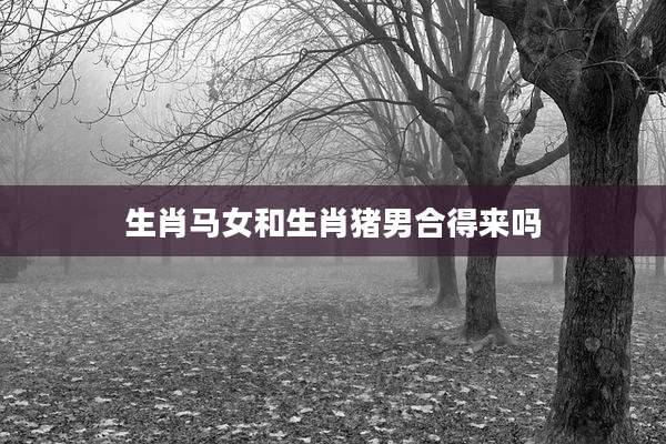 生肖马女和生肖猪男合得来吗