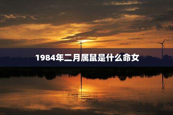 1984年二月属鼠是什么命女