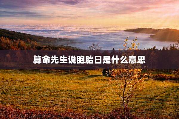 算命先生说胞胎日是什么意思