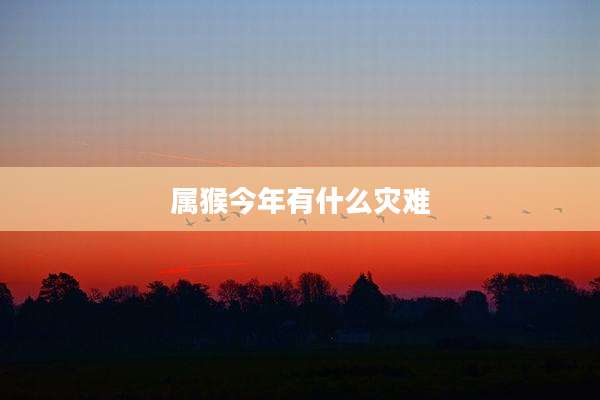 属猴今年有什么灾难