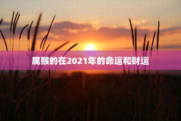 属猴的在2021年的命运和财运