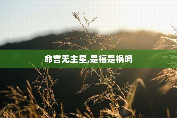 命宫无主星,是福是祸吗
