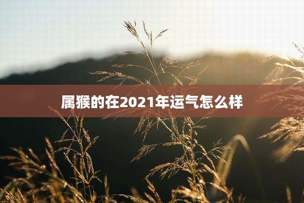 属猴的在2021年运气怎么样