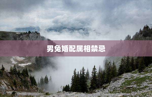 男兔婚配属相禁忌