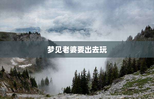 梦见老婆要出去玩
