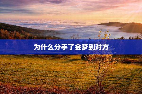 为什么分手了会梦到对方