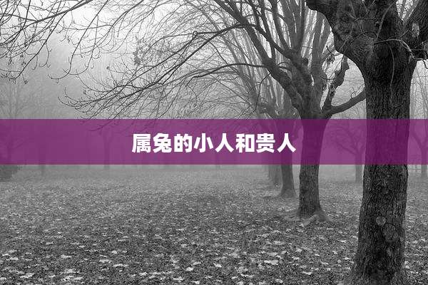 属兔的小人和贵人