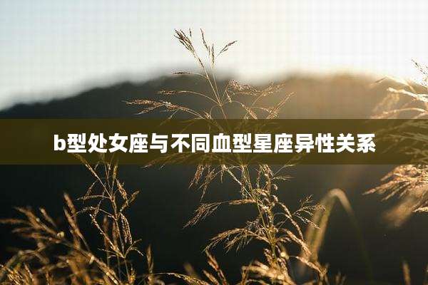 b型处女座与不同血型星座异性关系