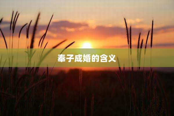 奉子成婚的含义