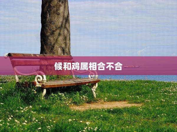 候和鸡属相合不合