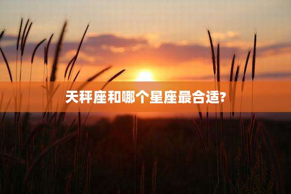 天秤座和哪个星座最合适?