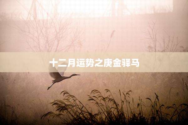 十二月运势之庚金驿马