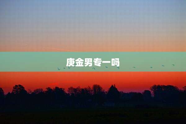 庚金男专一吗