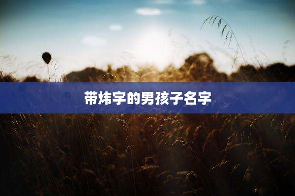 带炜字的男孩子名字