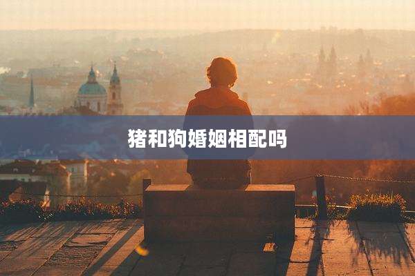 猪和狗婚姻相配吗