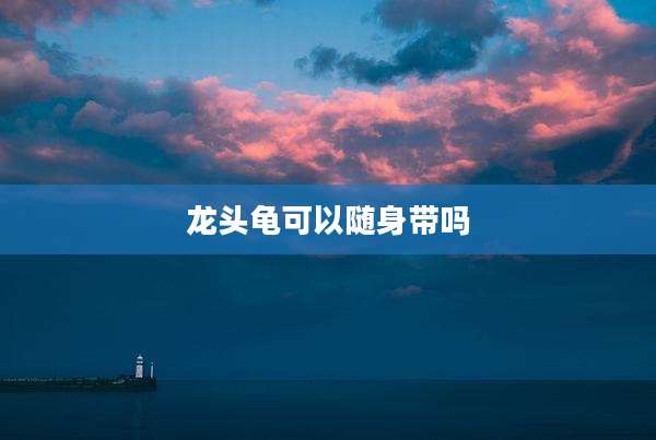 龙头龟可以随身带吗