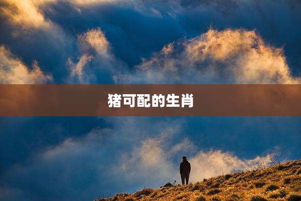猪可配的生肖