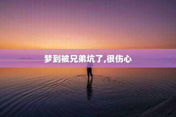 梦到被兄弟坑了,很伤心