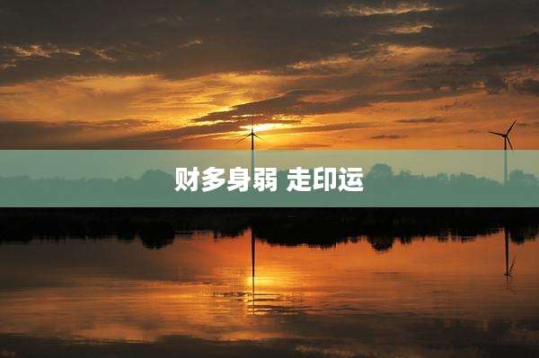 财多身弱 走印运
