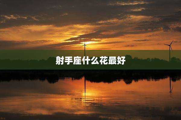 射手座什么花最好