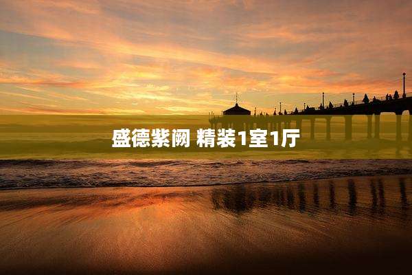 盛德紫阙 精装1室1厅