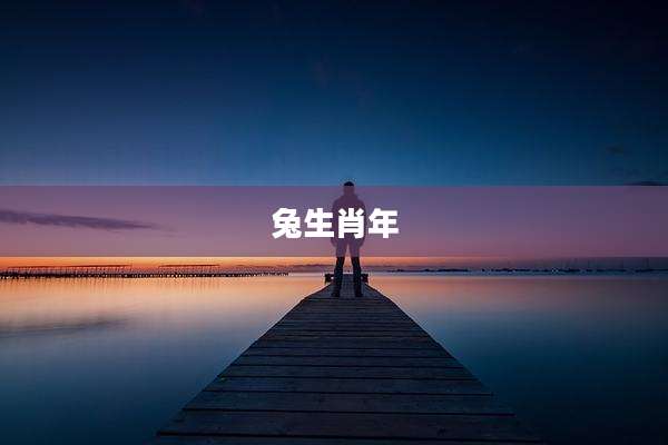 兔生肖年
