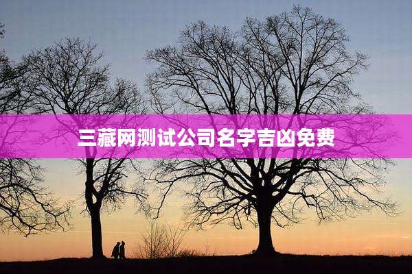 三藏网测试公司名字吉凶免费