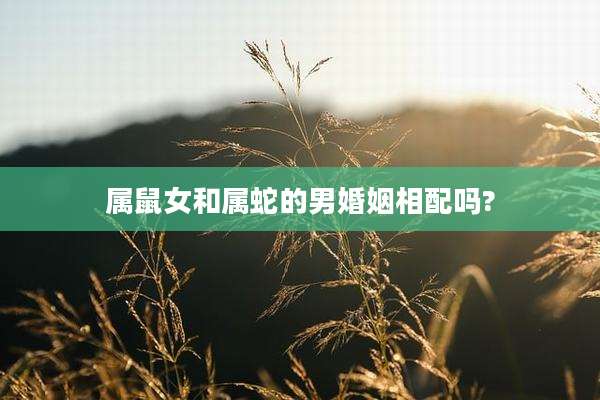 属鼠女和属蛇的男婚姻相配吗?