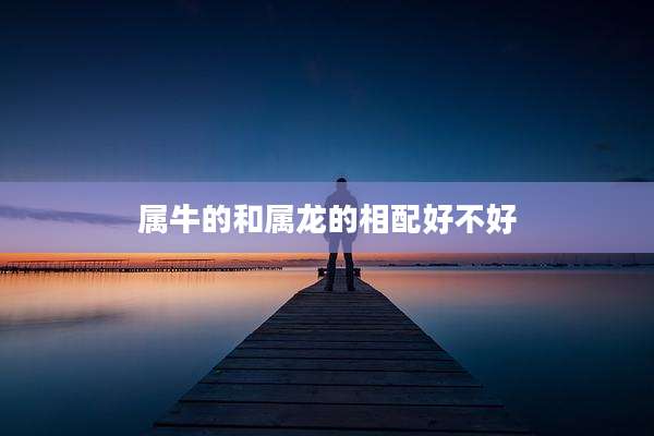 属牛的和属龙的相配好不好