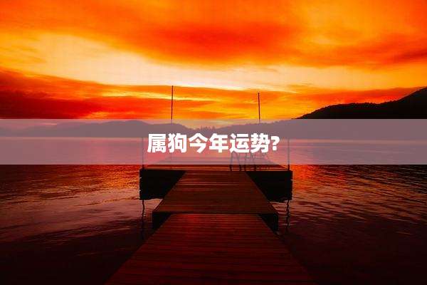 属狗今年运势?