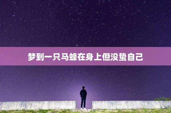 梦到一只马蜂在身上但没蛰自己