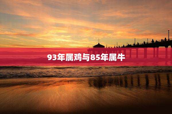 93年属鸡与85年属牛