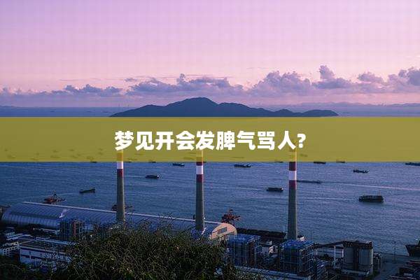 梦见开会发脾气骂人?