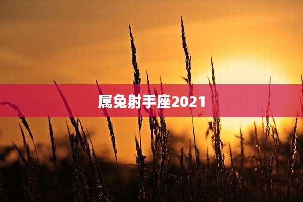 属兔射手座2021