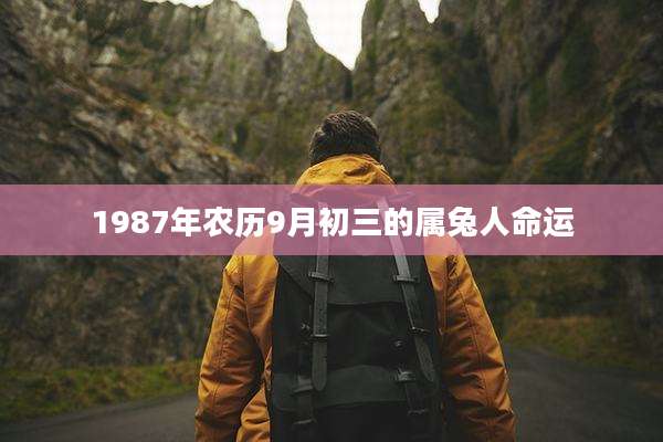 1987年农历9月初三的属兔人命运
