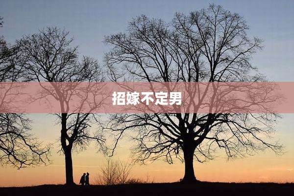 招嫁不定男