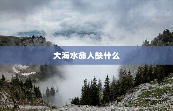 大海水命人缺什么