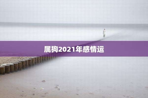 属狗2021年感情运