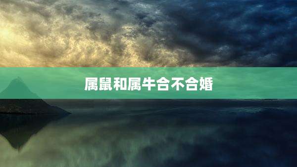 属鼠和属牛合不合婚