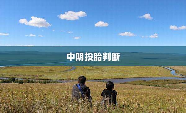 中阴投胎判断