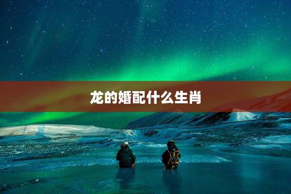 龙的婚配什么生肖